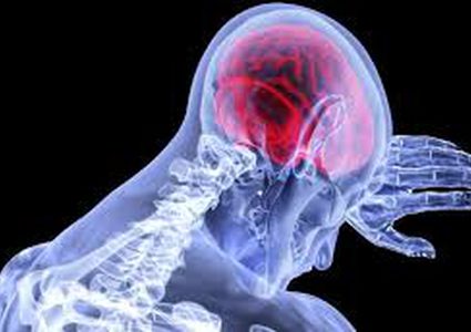 الدماغ البشري يتجدد باستمرار!