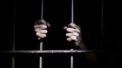 5 أسرى من نابلس وجنين يدخلون أعواماً جديدة في سجون الاحتلال