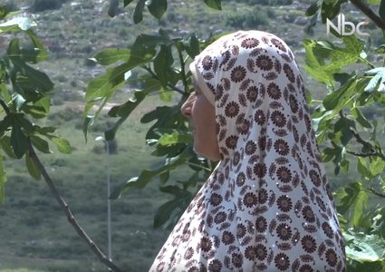 عائلة تتحدّى الاستيطان في عزبة أبو آدم (فيديو)