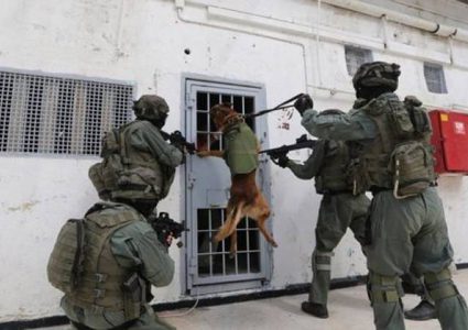 اقتحام قسم 3 في سجن جلبوع والاعتداء على الأسرى