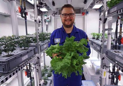 زراعة ناجحة لخضراوات بالقارة القطبية دون تربة!