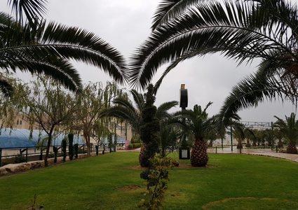 الطقس: الحرارة أقل من معدلها بحدود درجتين والفرصة مهيأة لسقوط زخات من الأمطار