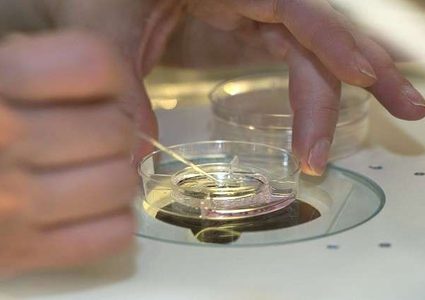 أطفال الأنابيب أكثر عرضة للإصابة بأمراض خطيرة