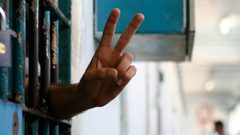 7 أسرى يواصلون اضرابهم عن الطعام