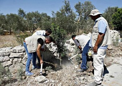 زراعَة أشجار في أراضي بلدة قوصين المهدّدة بالمصادرة