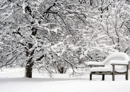 لماذا تؤثر العواصف الثلجية على صحة القلب ؟