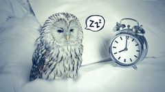 كيف تكون شخصاً صباحياً بسهولة ؟