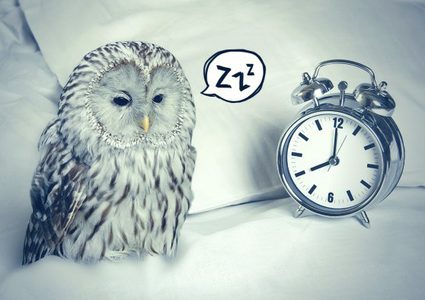 كيف تكون شخصاً صباحياً بسهولة ؟