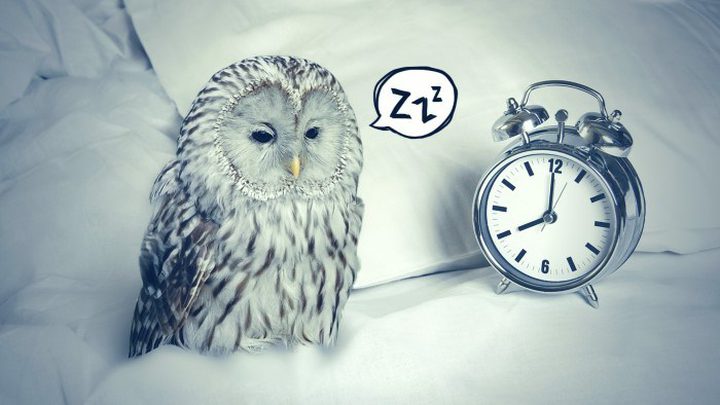 كيف تكون شخصاً صباحياً بسهولة ؟