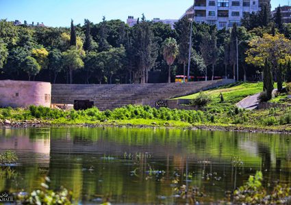 نابلس: "أرض المعارض" منتقدون كثر والبلدية توضح!