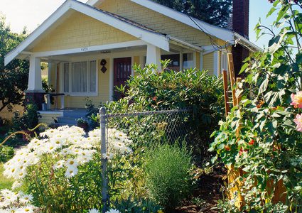 هل تحسن الطبيعة من صحتنا العقلية وتخفف الضغط النفسي؟