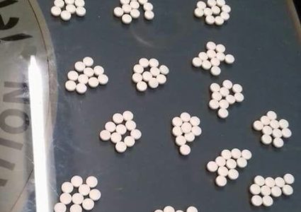 الشرطة تقبض على تاجر مخدرات وبحوزته ٦٠٠ حبة اكستازي في الخليل