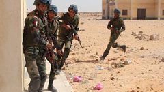 الجيش المصري يعلن مقتل “أمير داعش” بوسط ⁧‫سيناء