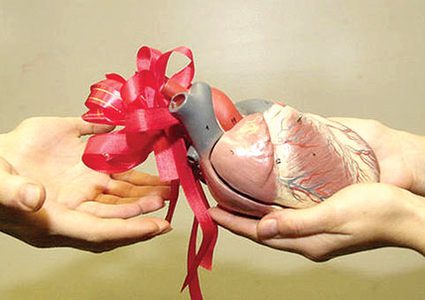 تقنية جديدة للحفاظ على الأعضاء المتبرع بها