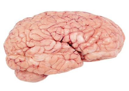 عادات "قاتلة" تدمر خلايا الدماغ