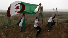 المُقلاع .. اليَدُ الفلسطينيّة المُقاوِمة !