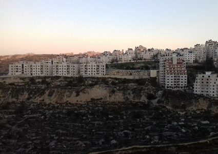 نابلس في المرتبة الثالثة.. إليك أعلى 5 مدن من حيث المساكن الخالية بالضفة