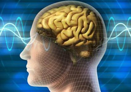 دراسة تنسف المتوقع.. ذاكرتنا تظل "فريش" في السبعين!