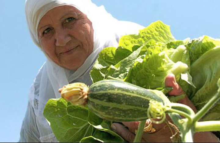 منحة اوروبية بـ 17.5 مليون دولار لدعم الزراعة الفلسطينية