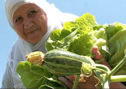 منحة اوروبية بـ 17.5 مليون دولار لدعم الزراعة الفلسطينية