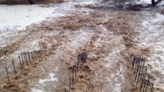 مصرع فتاة جرفتها السيول شرق بيت لحم