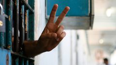 8 أسرى يواصلون إضرابهم عن الطعام