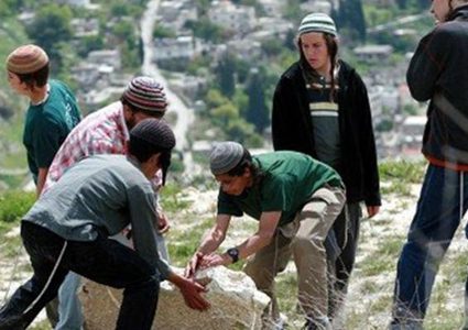 أوتشا: عصابات "تدفيع الثمن" تضاعف نشاطها بالضفة في عام 2018