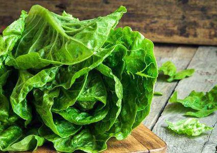 تكنولوجيا الحمض النووي لتحديد الأمراض في النباتات