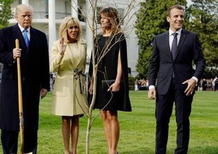 لغز اختفاء شجرة ترامب-ماكرون من البيت الأبيض