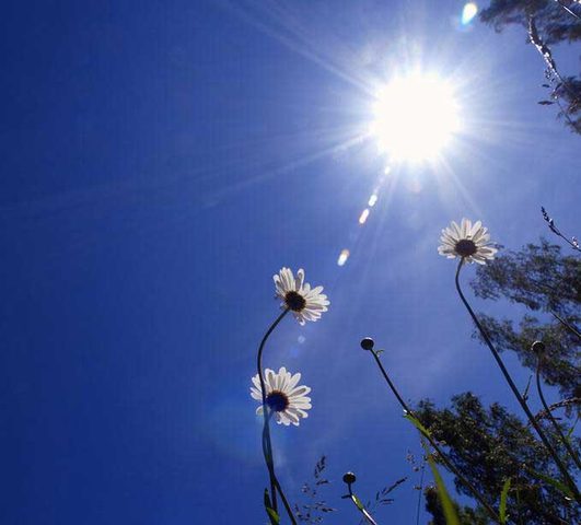 الطقس: أجواء حارة وجافة حتى نهاية الأسبوع
