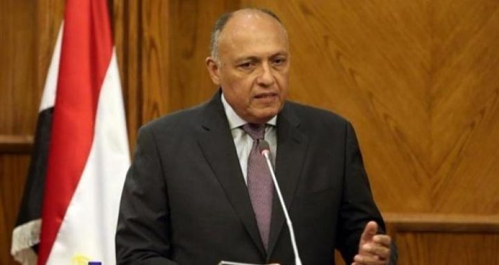 شكري يؤكد أهمية استئناف المفاوضات الفلسطينية الإسرائيلية