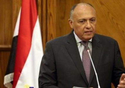 شكري يؤكد أهمية استئناف المفاوضات الفلسطينية الإسرائيلية