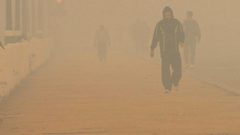 77 قتيلا و143 جريحاً في عواصف رملية تضرب شمال الهند