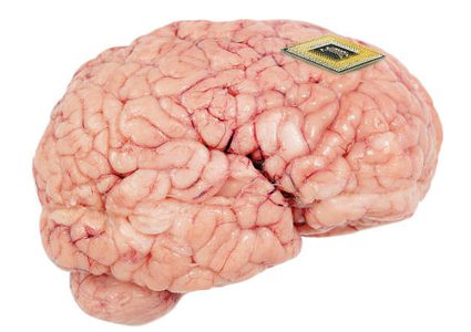 علماء يبتكرون أصغر محفز عصبي في العالم