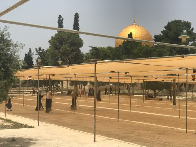 "زهرة المدائن" تستعد لاستقبال الشهر المبارك(فيديو،صور)