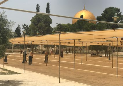 "زهرة المدائن" تستعد لاستقبال الشهر المبارك(فيديو،صور)