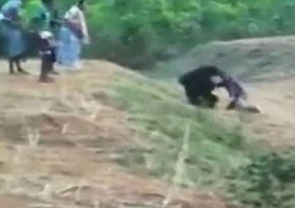 دب يقتل رجلا حاول التقاط صورة معه!
