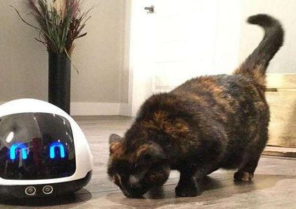 روبوت فريد للعناية بالحيوانات الأليفة!