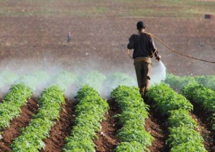 صندوق درء المخاطر يبدأ بصرف الدفعة الرابعة لصالح مزارعين متضررين