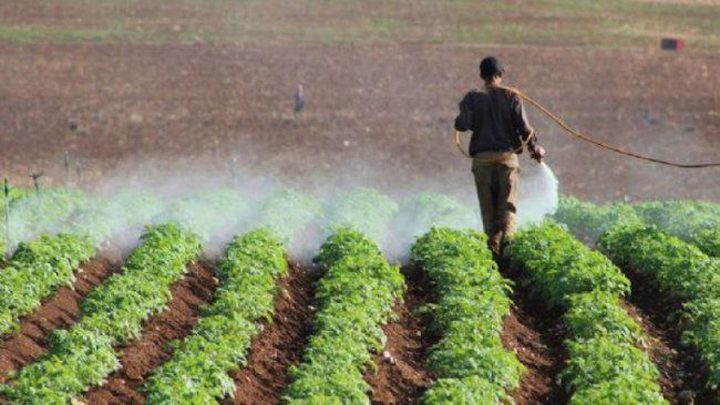 صندوق درء المخاطر يبدأ بصرف الدفعة الرابعة لصالح مزارعين متضررين
