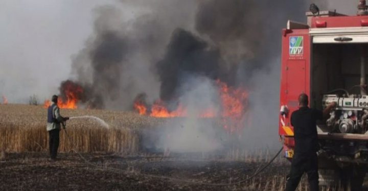 الإحتلال يزعُم حرق مزارع بسبب الطائرات الورقية شرق قطاع غزة