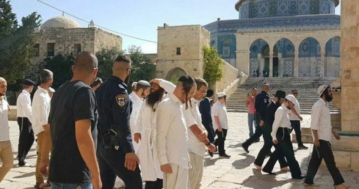 مستوطنون يؤدون رقصات وصلوات تلمودية قرب سور الأقصى