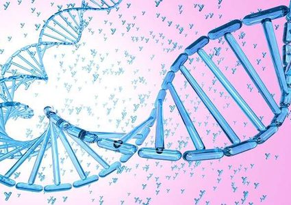 اكتشاف جين ذكوري يحمي من الشكل العدواني للّوكيميا