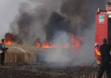 مستوطن حاول اطلاق طائرة ورقية لحرق حقول غزة الزراعية فارتدت عليه