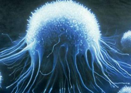 لماذا تنام الخلايا السرطانية ؟