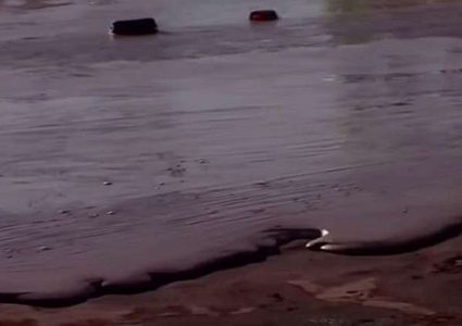 شارع في بولندا يتحول إلى نهر من الشوكولاتة!