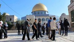 85 مستوطناً وجندياً يقتحمون باحات الأقصى