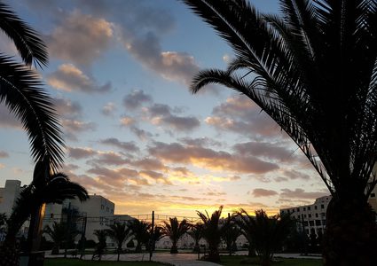 الدفاع المدني يحذر من موجة الحر