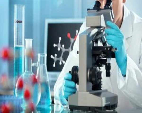 ما هي آلية عمل البكتيريا آكلة اللحم ؟