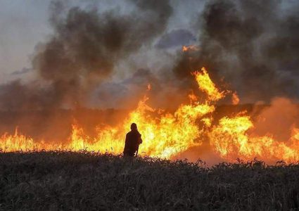 حريق بالاحراش داخل الأراضي المحتلة شرق جحر الديك جنوب غزة